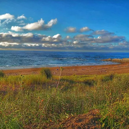 Junto A Playas,dos Terrazas Y Vistas Al Mar アパート